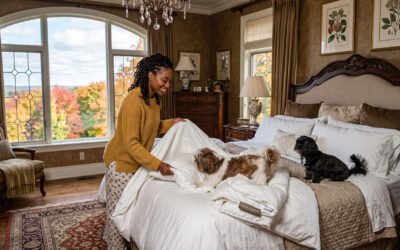 Silk Duvet Inner South Africa: One Duvet, Two Seasons